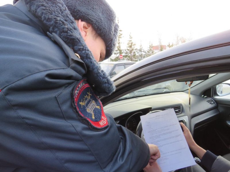 В Починковском округе общественники провели исследование общественного мнения о работе районной полиции
